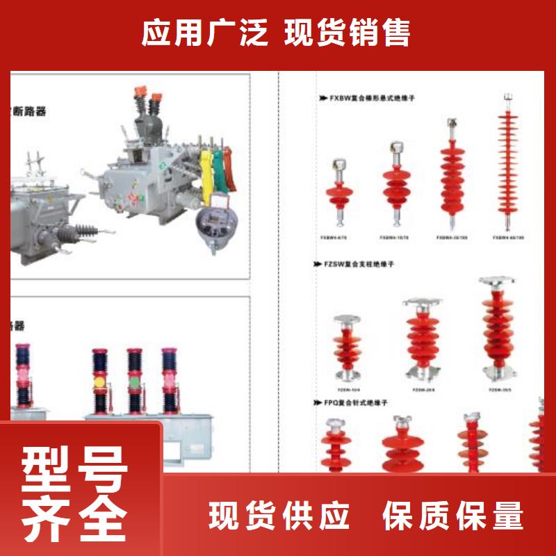 Y10W-96/238-避雷器--厂家