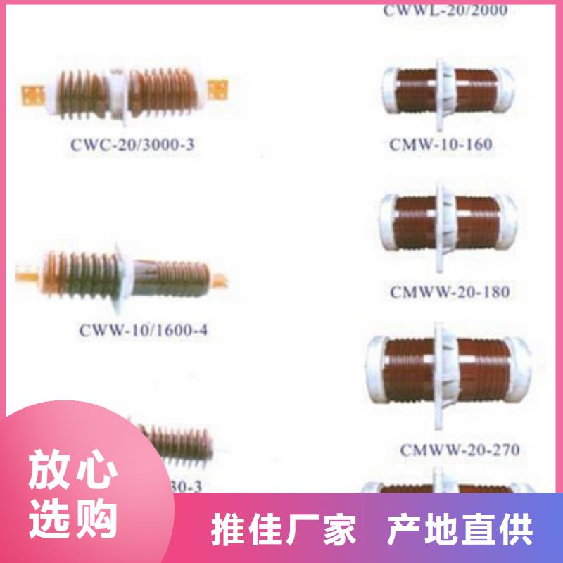 CWW-10/630-3【浙江羿振电气有限公司】