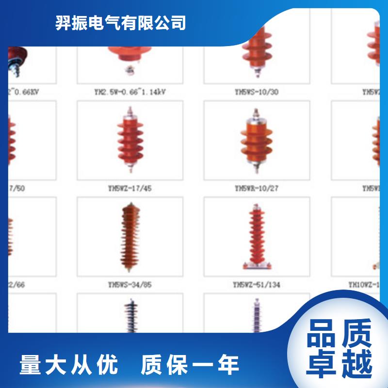 【羿振电气】防雷耐张绝缘子FGNC10-35/70ZD