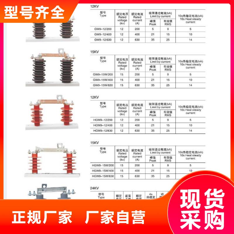 羿振电力【隔离开关】HGW9-10W/200