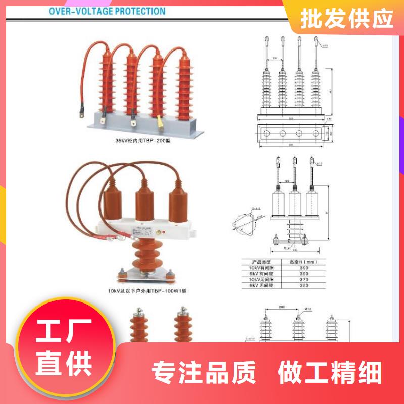 高压熔断器-RWG1-10F/100