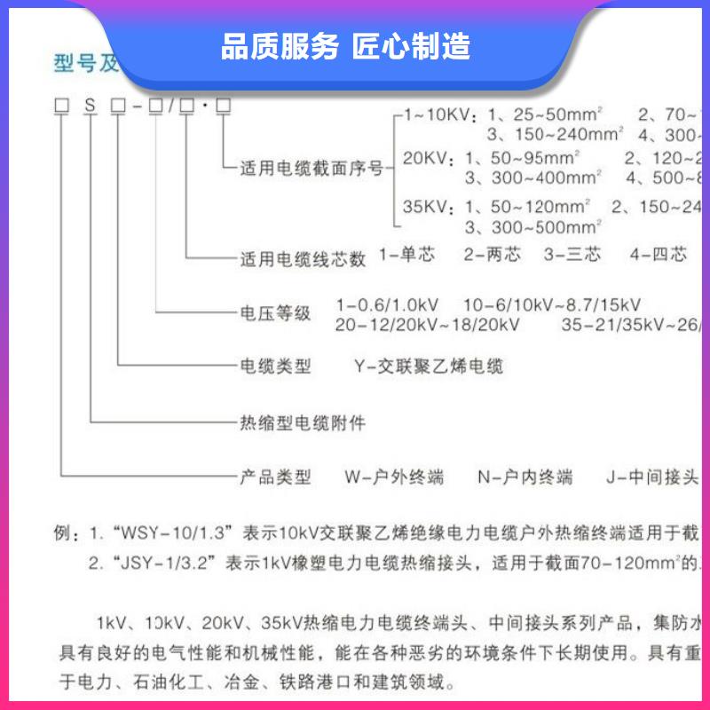 NSY-24/3.1户内热缩电缆终端头