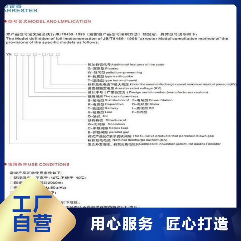 金属氧化物避雷器Y10W-100/260