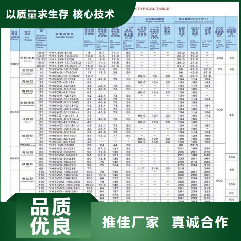 避雷器Y10W-108/281浙江羿振电气有限公司