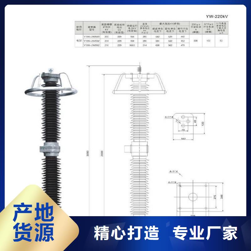 避雷器YH5CX2-42/120J