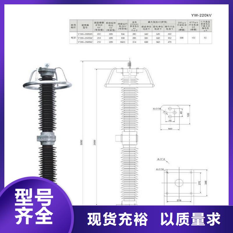 避雷器Y10W5-108/281