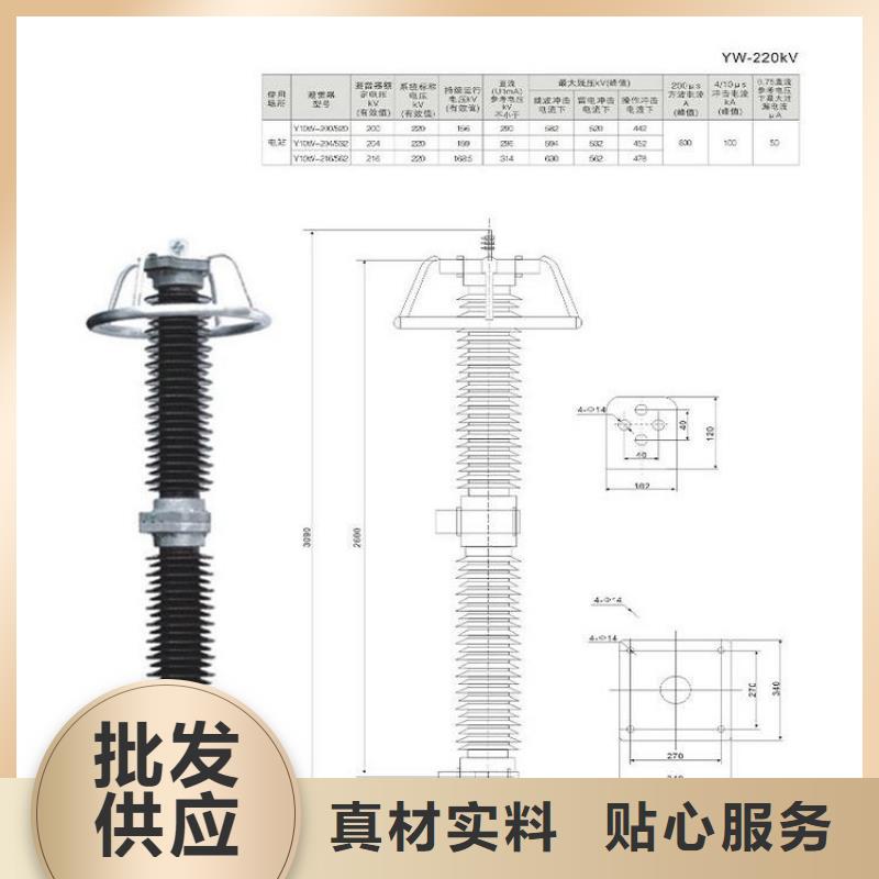 HY10WZ2-102/266S.