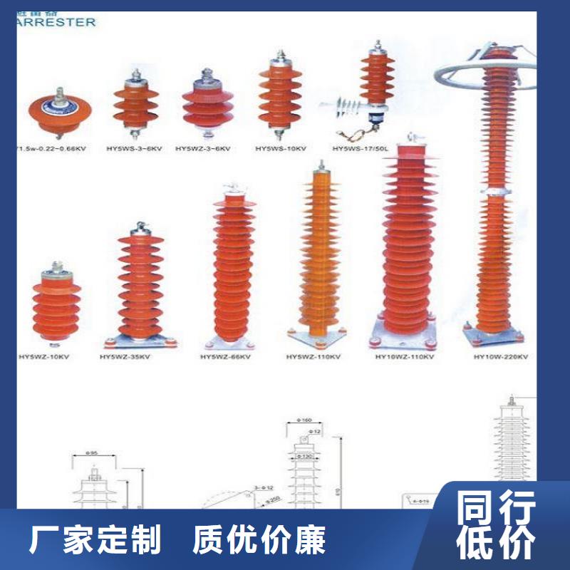 避雷器YH10W1-96/250【上海羿振电力设备有限公司】