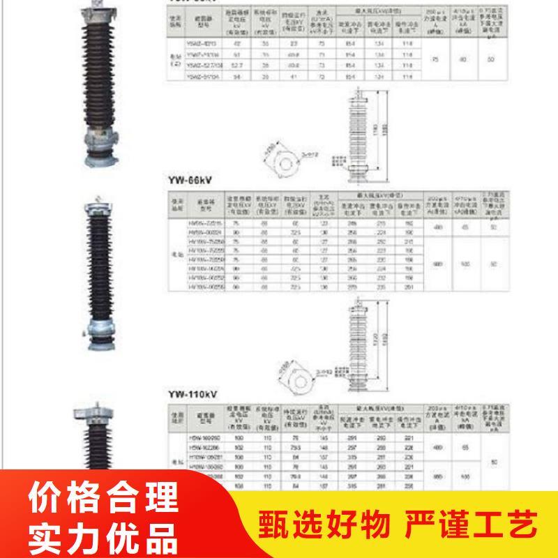 避雷器Y10W-200/496 浙江羿振电气有限公司