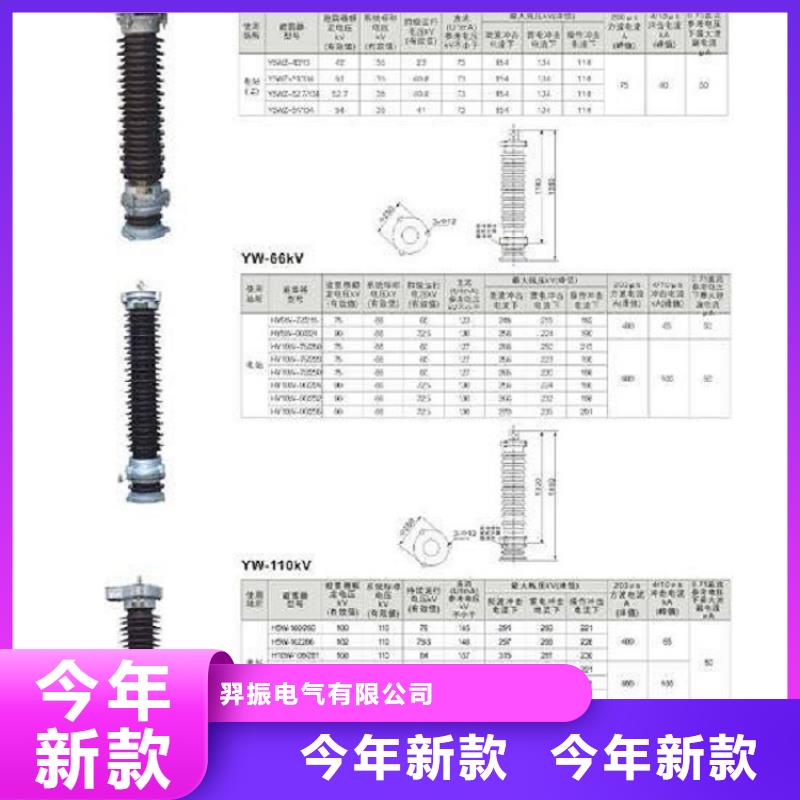 【避雷器】Y5W5-100/260S-浙江羿振电气有限公司