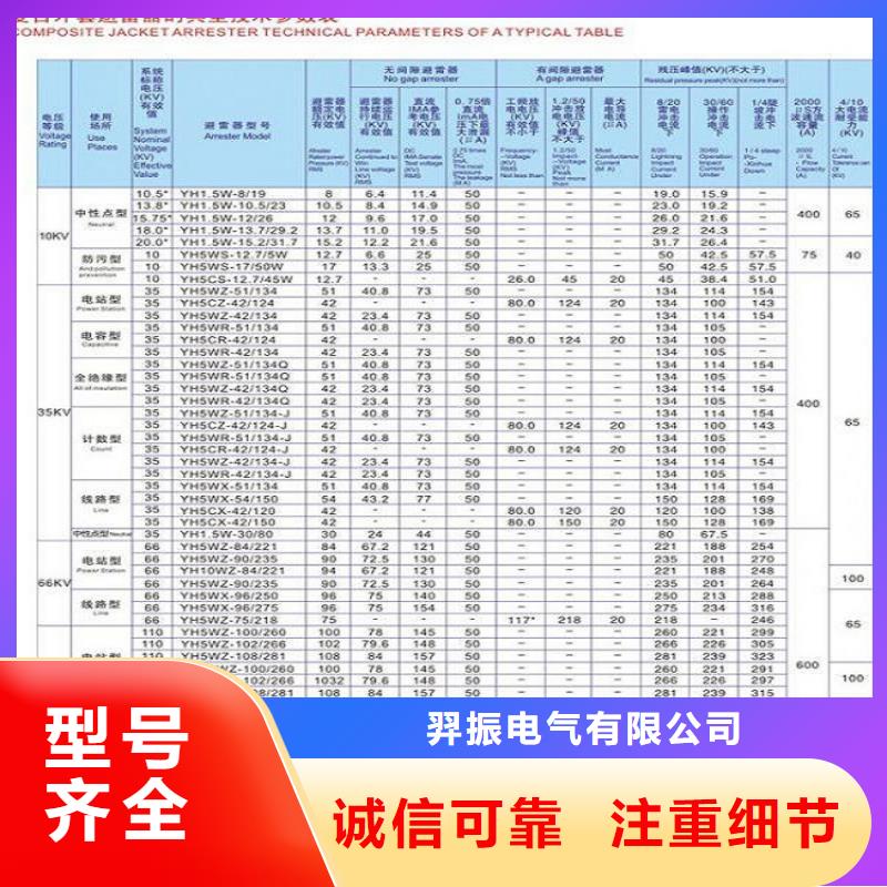 避雷器Y10W1-100/260【羿振电气】