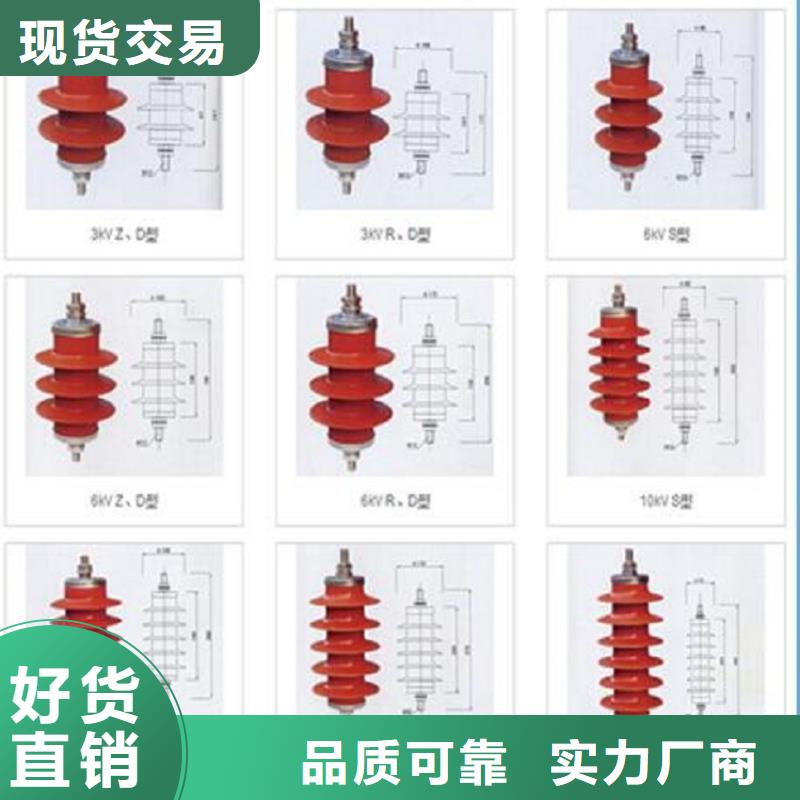 高原型复合避雷器YH10WZ5-51/134GY-J（带计数器）【羿振电气】