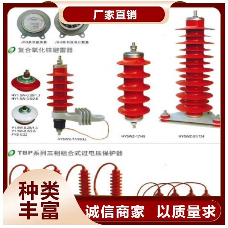 氧化锌避雷器Y10W5-96/250S源头好货