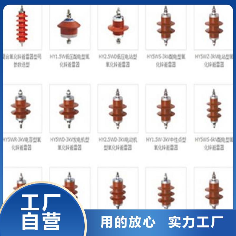 【避雷器】HY10CX4-216/560-浙江羿振电气有限公司