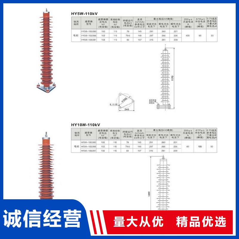 【羿振电气】避雷器YH5WZ-51/134TLQ底座式，带放电计数器