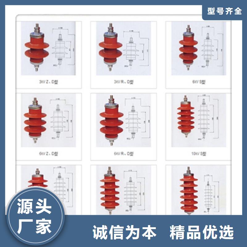 瓷外套金属氧化物避雷器Y10W-200/496【浙江羿振电气有限公司】