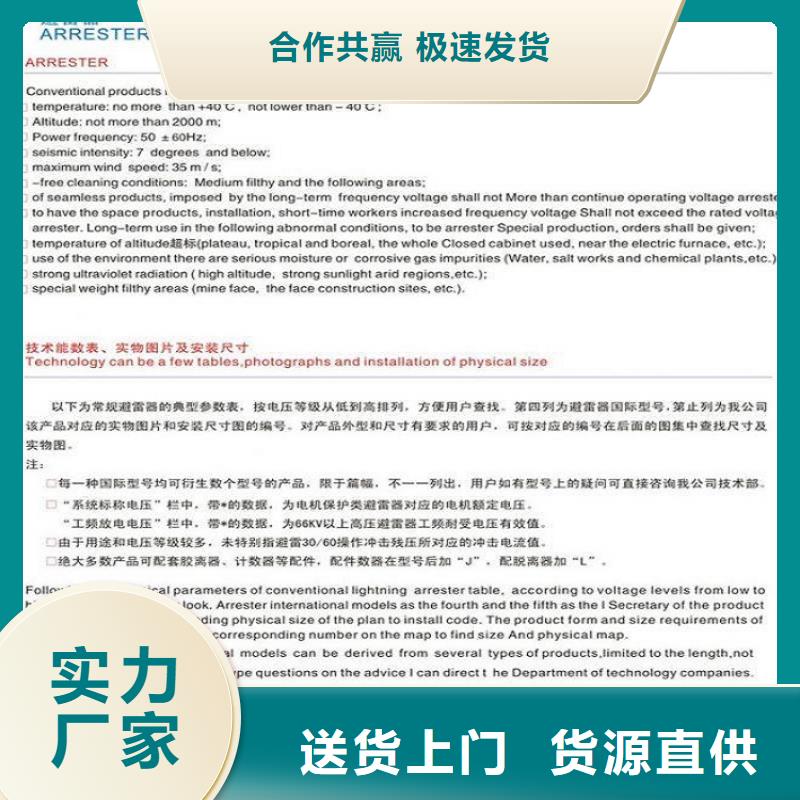 避雷器/复合外套氧化锌避雷器YHSWZ-17/45氧化锌避雷器/YH5WX5-42/110