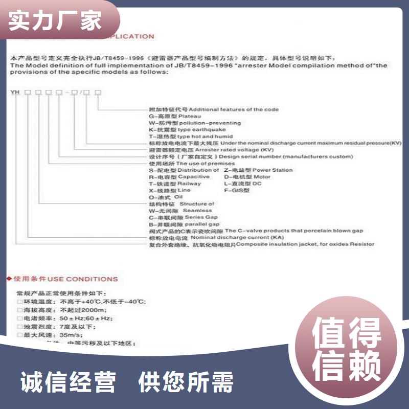 氧化锌避雷器Y10W-200/520【浙江羿振电气有限公司】