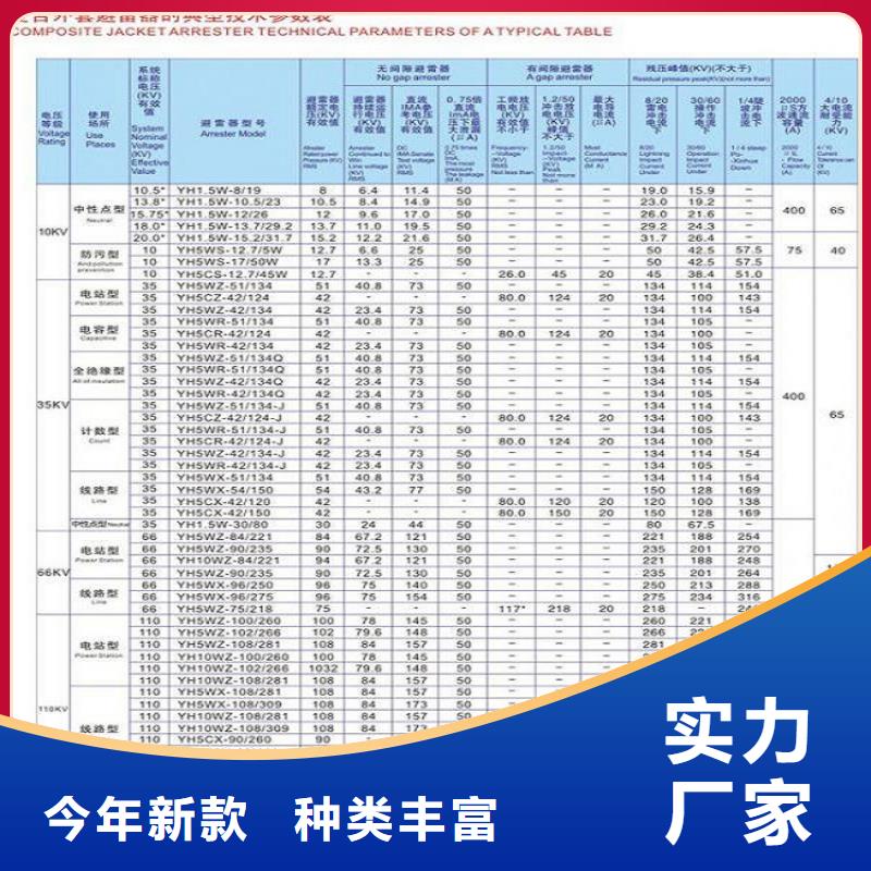 【氧化锌避雷器】复合绝缘氧化锌避雷器YH10WZ-51/134G