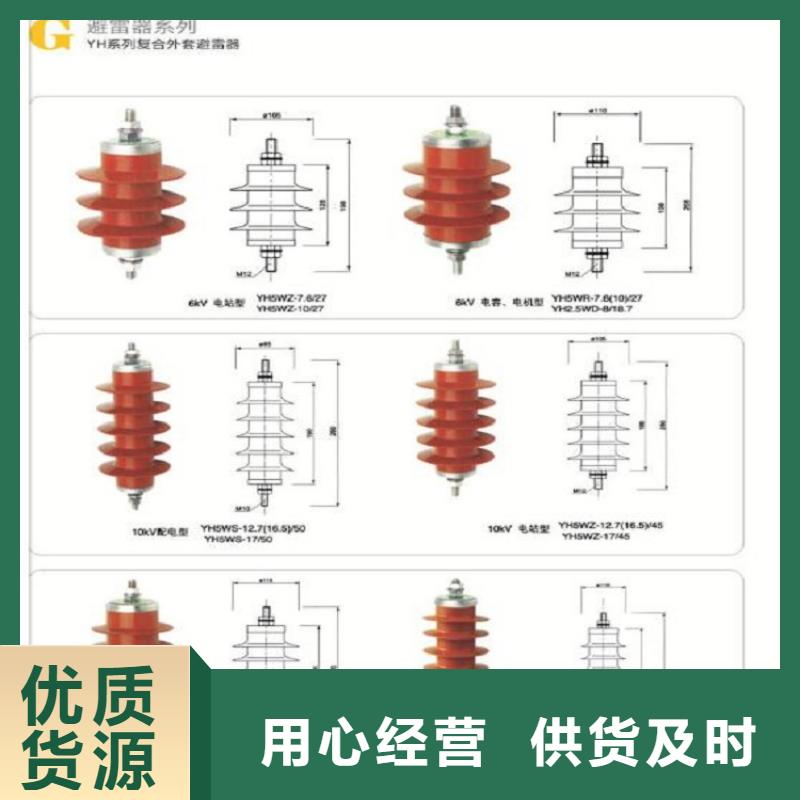 金属氧化物避雷器Y10W-200/496【浙江羿振电气有限公司】