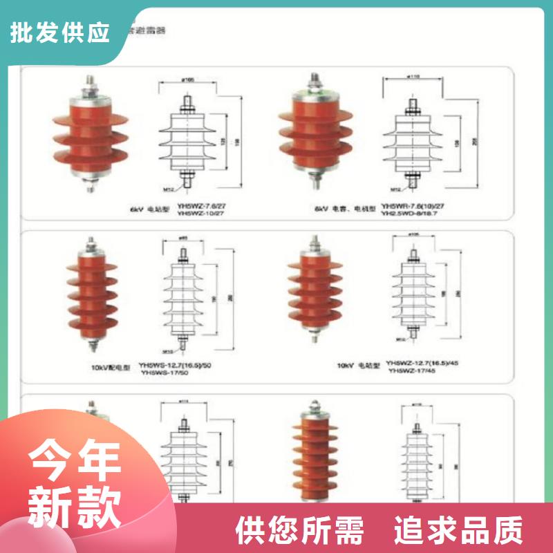 【订制批发<羿振>】金属氧化物避雷器 HY5WX-51/134