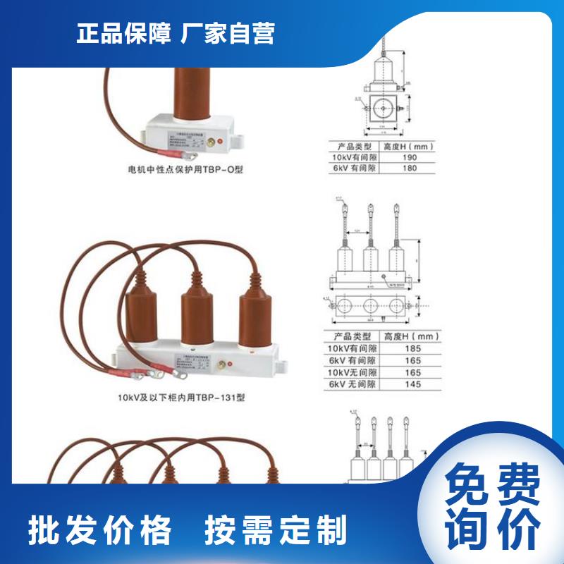 【组合式过电压保护器】TBP-A-35/310