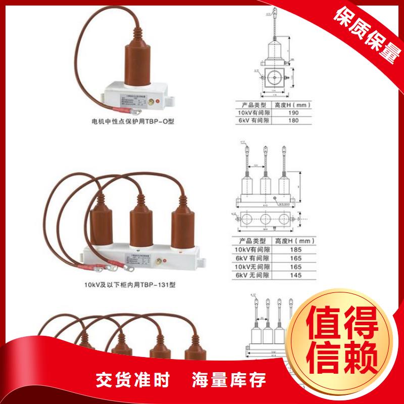 【组合式避雷器】TBP-C-12.7/85-J