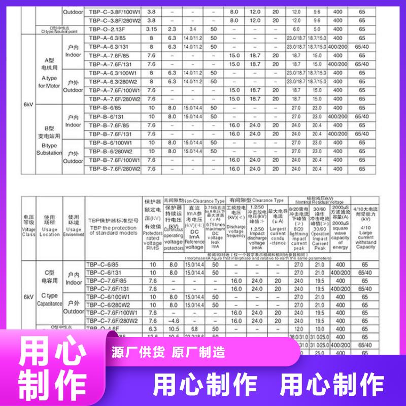 过电压保护器(组合式避雷器)TBP-A-7.6F/85-J