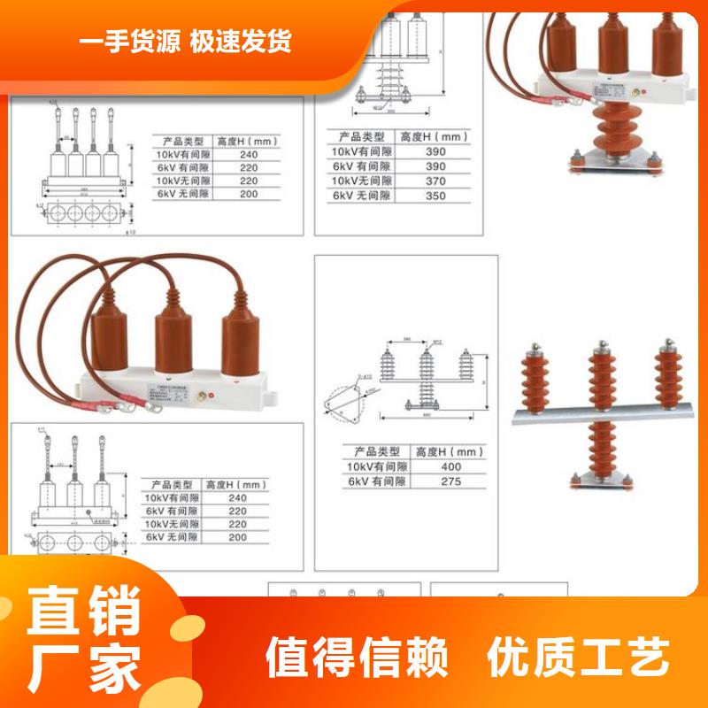 保护器(组合式避雷器)TBP-A-42/200