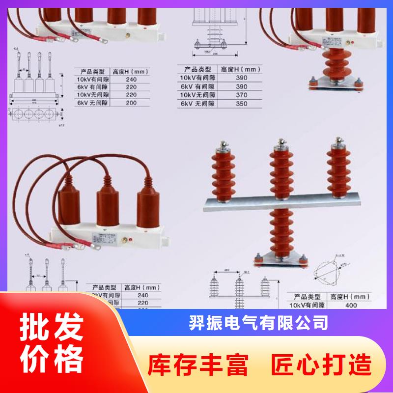 ＿过电压保护器(组合式避雷器)TBP-C-42F/310