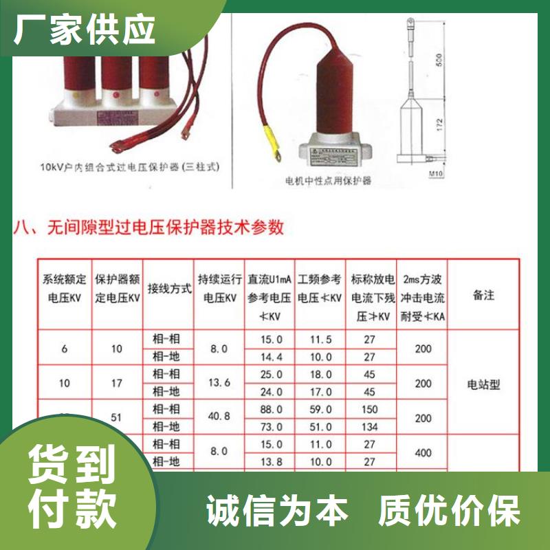 【羿振电力牌】过电压保护器TBP-A-12.7/150