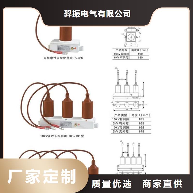 【羿振电力牌】过电压保护器TBP-B-7.6F/131-J