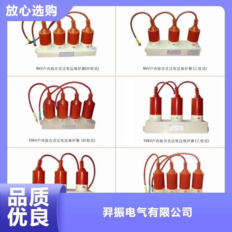 过电压保护器(组合式避雷器)TBP-B-10.5/85