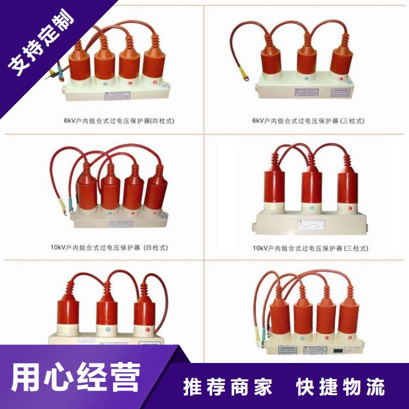 过电压保护器(组合式避雷器)YH5WR-5/13.5*5/13.5