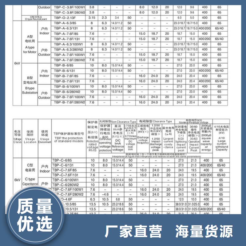 【组合式避雷器】TBP-B-42F/400W1