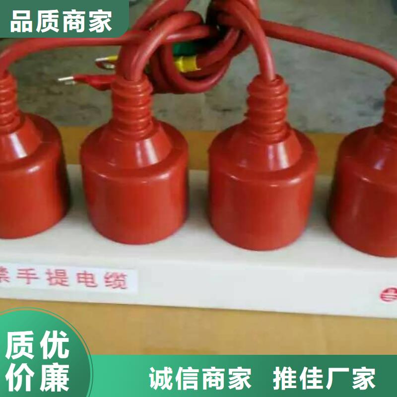 保护器(组合式避雷器)RTB-D-7.6KV/85-J