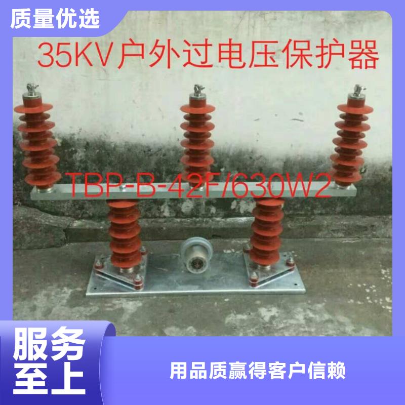 RY-GDY1-A/3组合过电压保护器