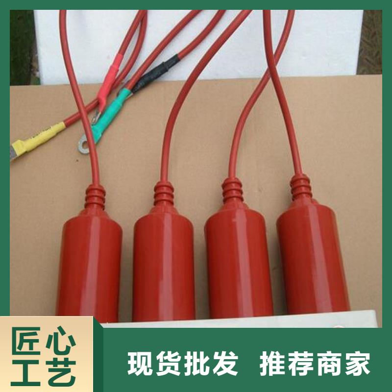 万宁市＿过电压保护器(组合式避雷器)YH5WS-10/30*10/30