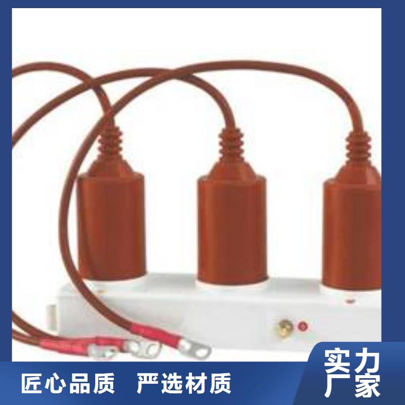 【过电压保护器】TBP-A-42/630W2