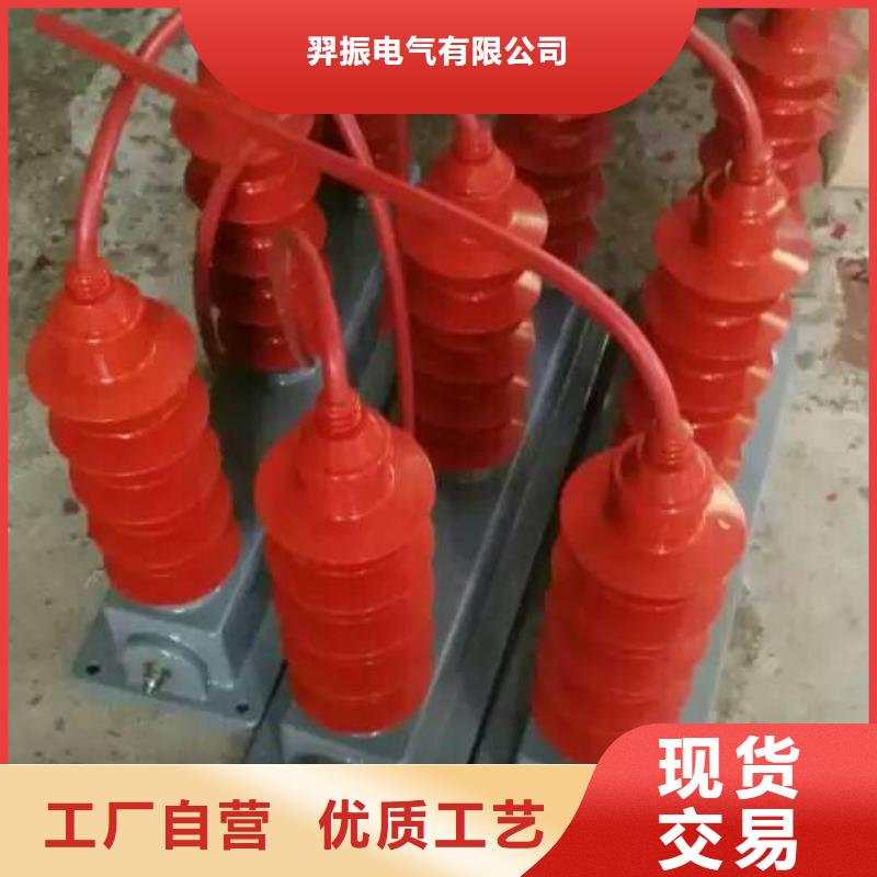 过电压保护器(组合式避雷器)TBP-A-6.3/131