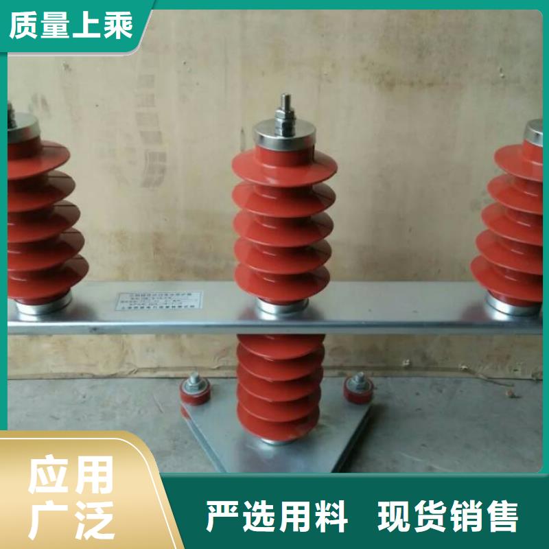 保护器(组合式避雷器)RTB-R-35KV/300-N