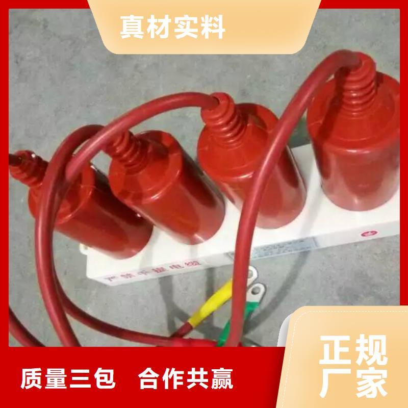 万宁市＿过电压保护器(组合式避雷器)YH5WS-10/30*10/30