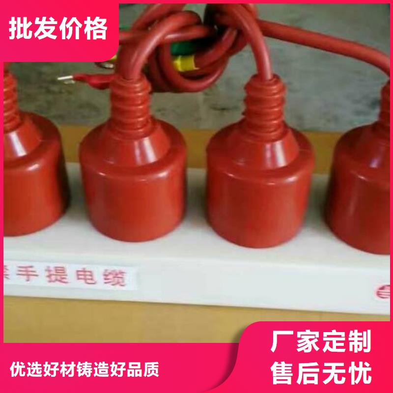 【组合式避雷器】TBP-A-42/630W2