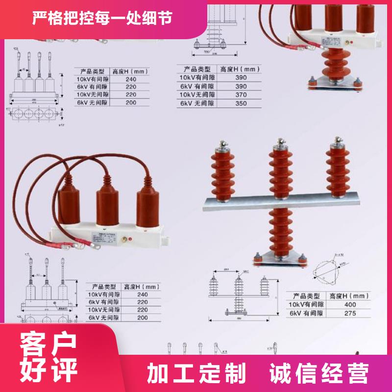 过电压保护器(组合式避雷器)TBP-C-10.5/131-J