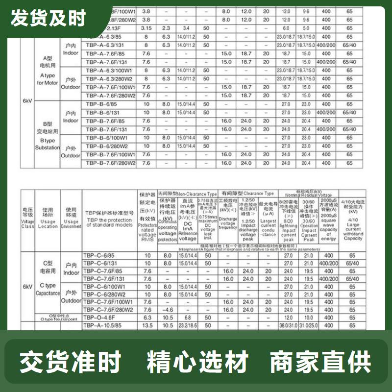 〖过电压保护器〗TBP-Y-A/10-F组合过电压保护器实体厂家