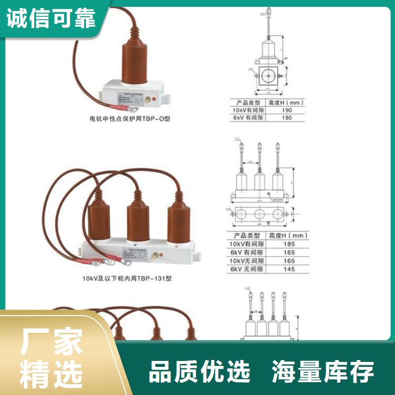 ＿过电压保护器BSTG-B-42F/310