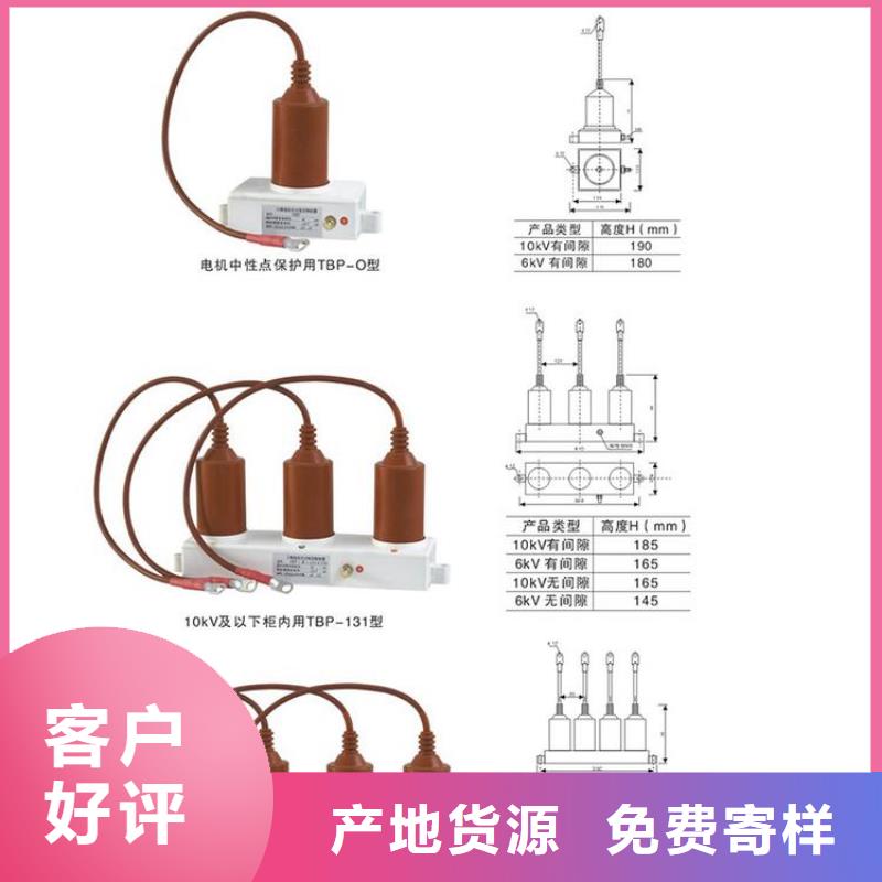 【羿振电力牌】过电压保护器TBP-B-42F/310