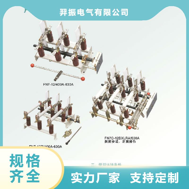 户内高压负荷开关FN12-12D/630-20