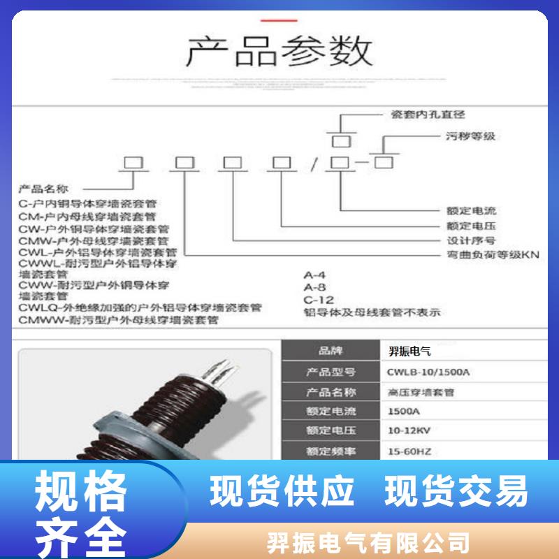 穿墙套管/CWW-40.5/1600-2浙江羿振电气有限公司