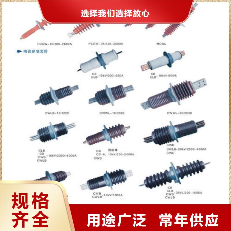 穿墙套管/CWC-10/630A浙江羿振电气有限公司